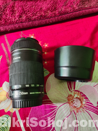 Canono 55-250 STM zoom lense